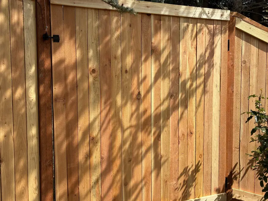 New cedar gate and fence in dappled afternoon shade