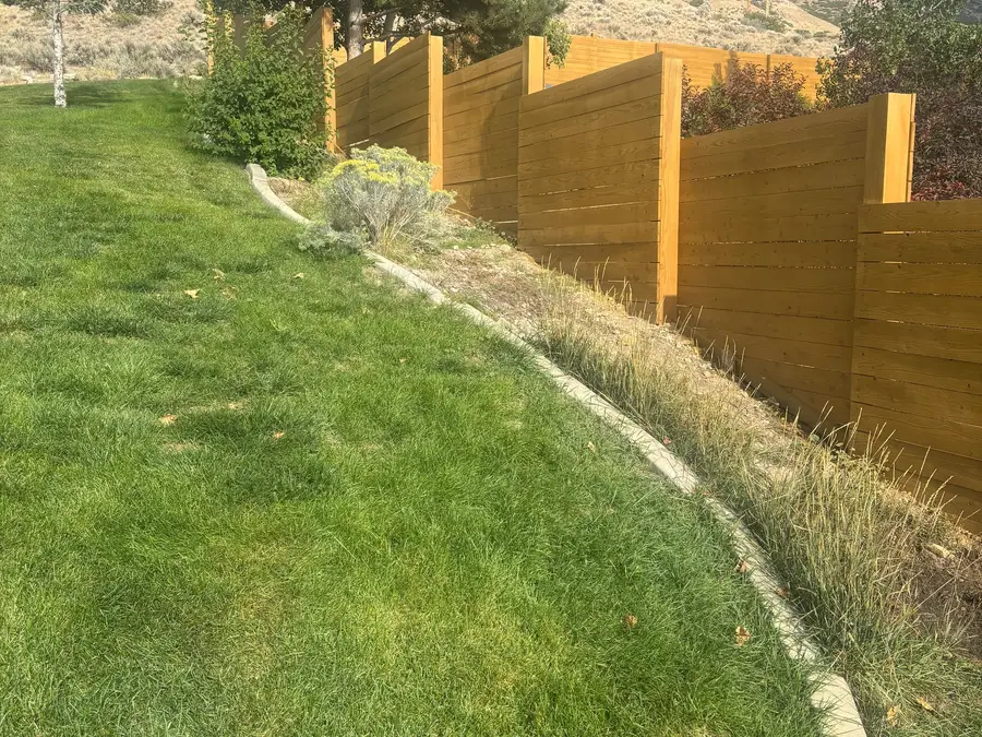 Cedar fence line along a lawn in golden evening light